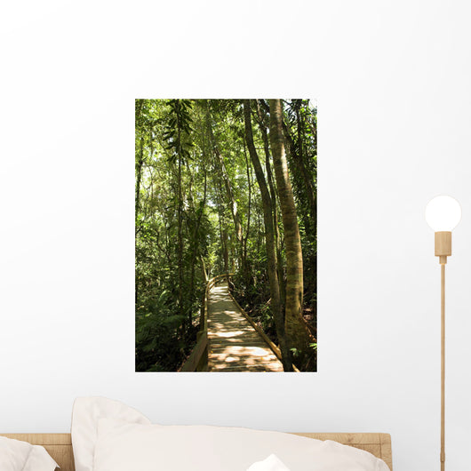jungle path Wall Mural