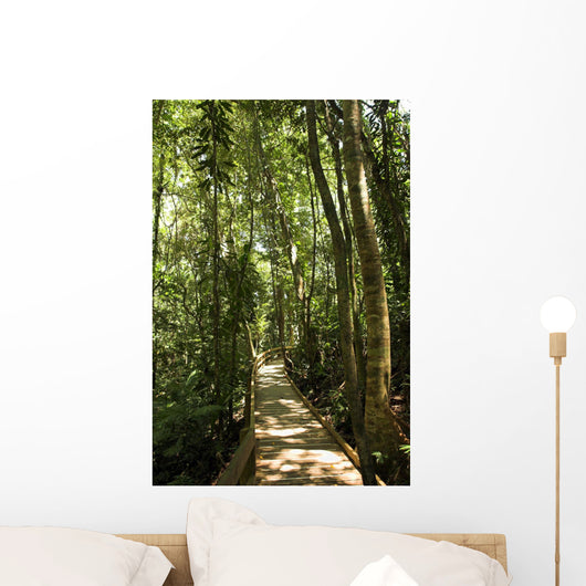 jungle path Wall Mural