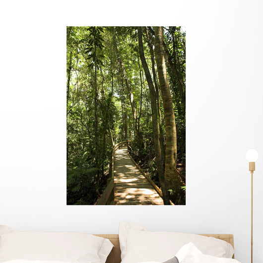 jungle path Wall Mural