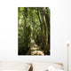 jungle path Wall Mural