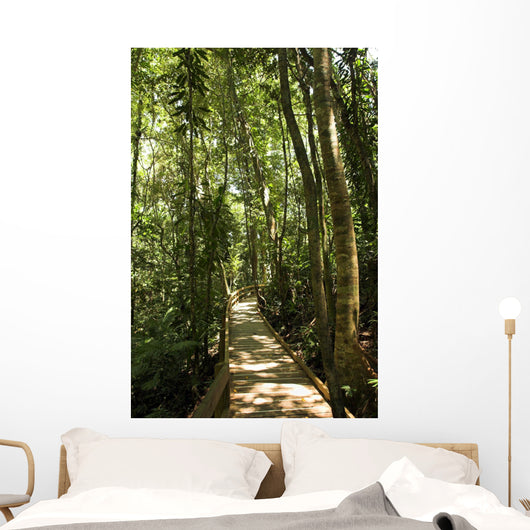 jungle path Wall Mural