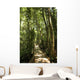 jungle path Wall Mural