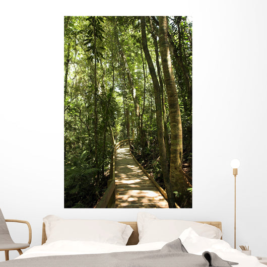jungle path Wall Mural