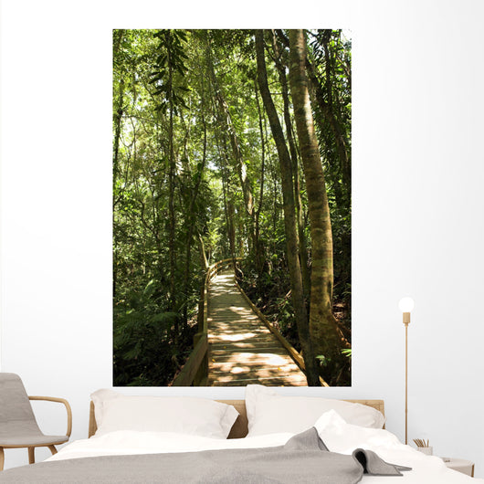 jungle path Wall Mural