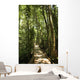 jungle path Wall Mural