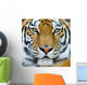 Tiger Wall Mural