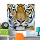 Tiger Wall Mural