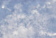 Snow Crystals Landscape