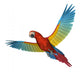 Scarlet Macaw Flying 2 Wall Decal