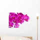 Orchid Flowers