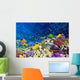 Coral and Fish Red