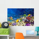 Coral and Fish Red
