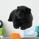 Puppy on a White Background Chow Chow Ñ‰ÐµÐ½Ð¾Ðº Ð½Ð° Ð±ÐµÐ»Ð¾Ð¼ Wall Decal