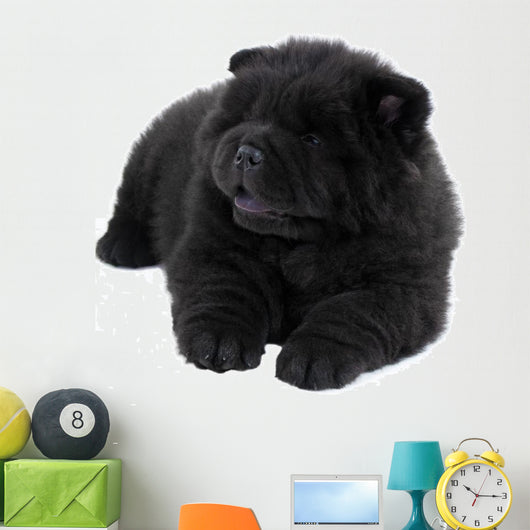 Puppy on a White Background Chow Chow Ñ‰ÐµÐ½Ð¾Ðº Ð½Ð° Ð±ÐµÐ»Ð¾Ð¼ Wall Decal