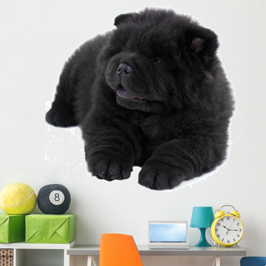 Puppy on a White Background Chow Chow Ñ‰ÐµÐ½Ð¾Ðº Ð½Ð° Ð±ÐµÐ»Ð¾Ð¼ Wall Decal