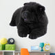 Puppy on a White Background Chow Chow Ñ‰ÐµÐ½Ð¾Ðº Ð½Ð° Ð±ÐµÐ»Ð¾Ð¼ Wall Decal