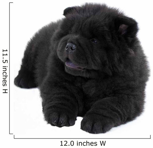 Puppy on a White Background Chow Chow Ñ‰ÐµÐ½Ð¾Ðº Ð½Ð° Ð±ÐµÐ»Ð¾Ð¼ Wall Decal