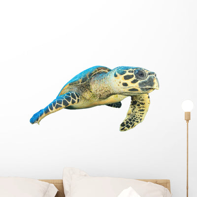 Hawksbill Sea Turtle White Wall Decal shown on a wall