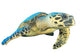 Hawksbill Sea Turtle White Wall Decal