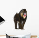 Mandrill Monkey Wall Decal