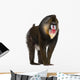 Mandrill Monkey Wall Decal