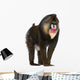 Mandrill Monkey Wall Decal