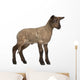 Lamb Standing against White Wall Decal