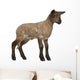 Lamb Standing against White Wall Decal