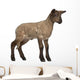 Lamb Standing against White Wall Decal