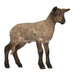 Lamb Standing against White Wall Decal