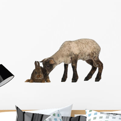 Lamb Sniffing Rabbit against Wall Decal shown on a wall