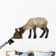 Lamb Sniffing Rabbit against Wall Decal