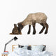 Lamb Sniffing Rabbit against Wall Decal