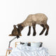 Lamb Sniffing Rabbit against Wall Decal