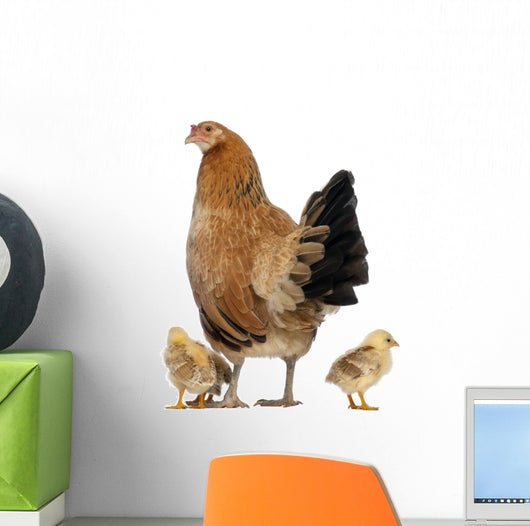 Hen with Its Chicks Wall Decal