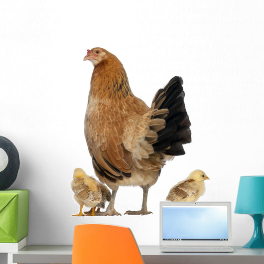 Hen with Its Chicks Wall Decal