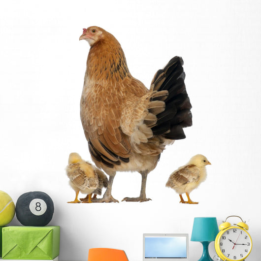 Hen with Its Chicks Wall Decal