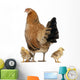 Hen with Its Chicks Wall Decal