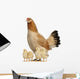 Hen With Its Chicks Against White Background Wall Decal