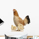 Hen With Its Chicks Against White Background Wall Decal