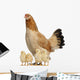 Hen With Its Chicks Against White Background Wall Decal