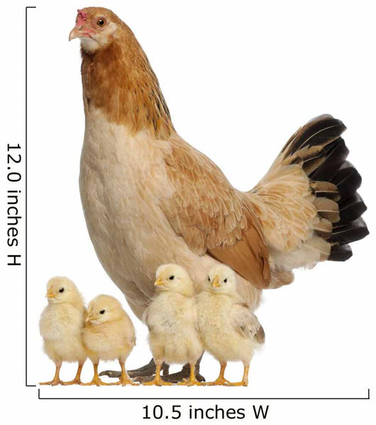 Hen With Its Chicks Against White Background Wall Decal
