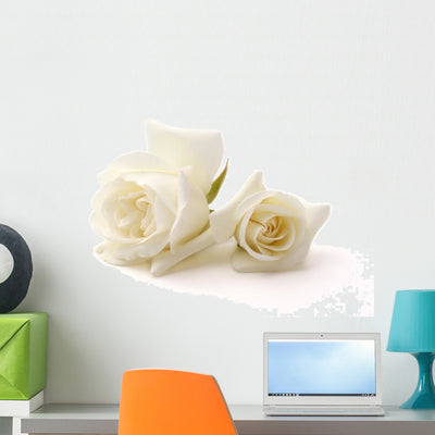 Rose shown on a wall