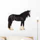 Shire Horse Standing against White Background Wall Decal