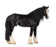 Shire Horse Standing against White Background Wall Decal