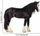 Shire Horse Standing against White Background Wall Decal