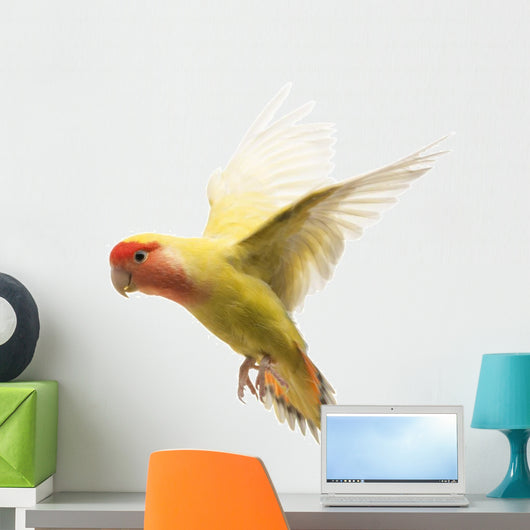 Rosy-faced Lovebird Flying Agapornis Wall Decal