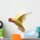 Rosy-faced Lovebird Flying Agapornis Wall Decal