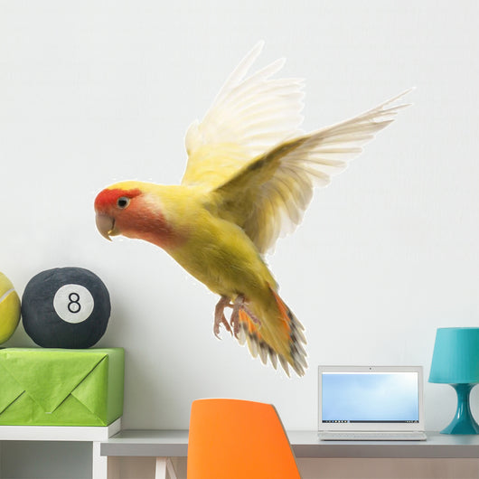 Rosy-faced Lovebird Flying Agapornis Wall Decal