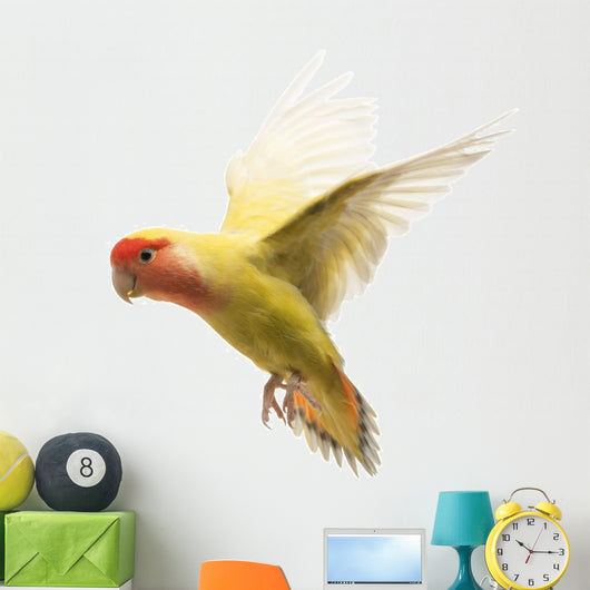Rosy-faced Lovebird Flying Agapornis Wall Decal